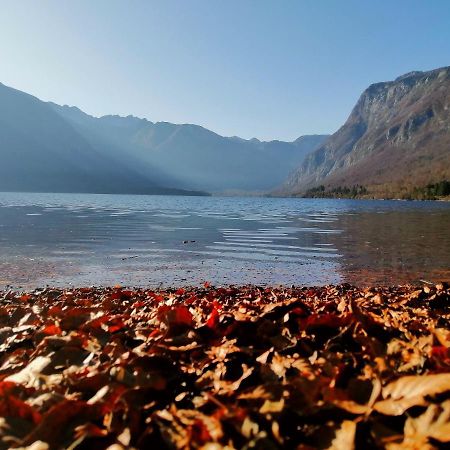 Apartment Korosec Matej Bohinji-tó Kültér fotó