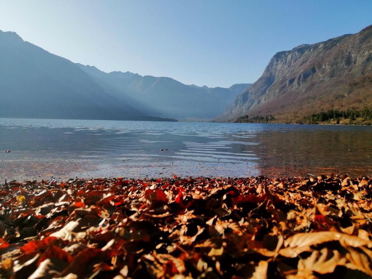 Apartment Korosec Matej Bohinji-tó Kültér fotó